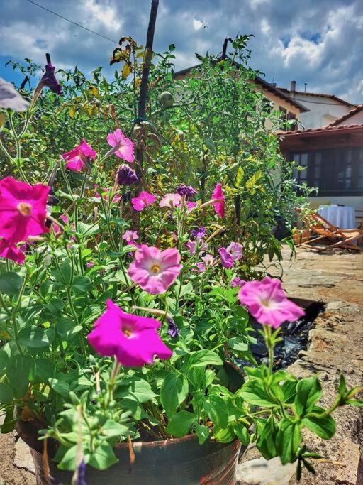Panthea Cottage Stavroupoli Exterior photo