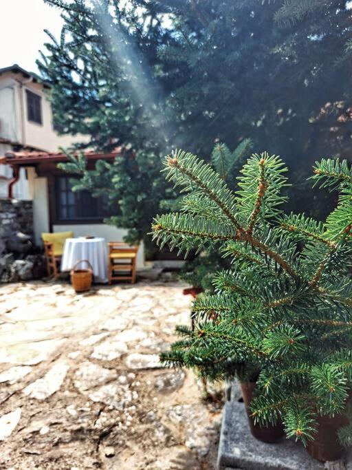 Panthea Cottage Stavroupoli Exterior photo